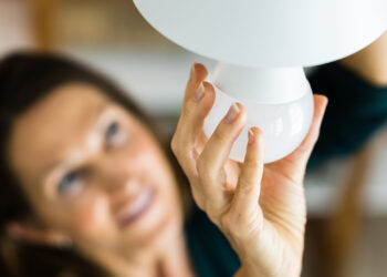 Biodiversità e clima: ogni scelta conta, anche la tua