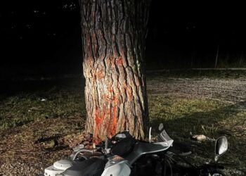 Si schianta contro un albero, morto un motociclista