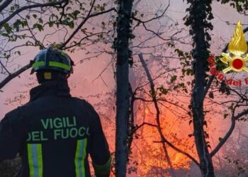 Vigili del fuoco impegnati a domare fiamme in zone lombarde
