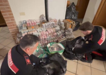 Scoperto un  Deposito della droga per 2 milioni e mezzo, tre arresti