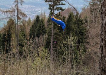Cade con il parapendio e resta sospesa su un albero a 30 metri da terra